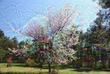 Deep Dream - Blühender Baum (4)